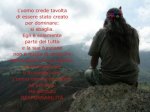 pianta che non muore mai