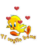 Avatar di kikka89
