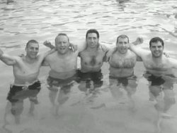 DANY7