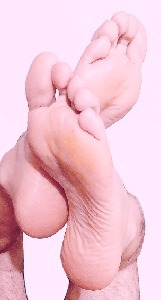 Piedi