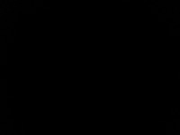 BlackWidow