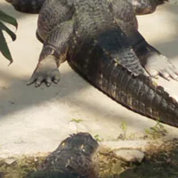 Demogorgone
