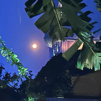 Astra_