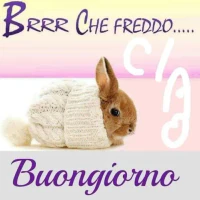 Eccomi55