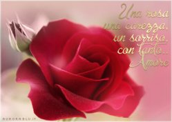 Foto album: ....
