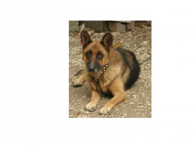 Foto album: Diana