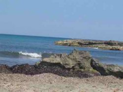 Foto album: ciao