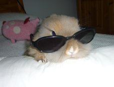 Foto album: (>°.°<)