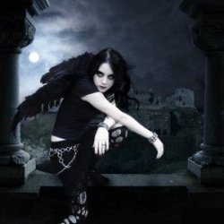 Foto album: Dark Angel