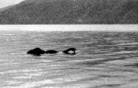 Foto album: Nessie Beach