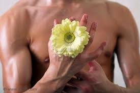 Foto album: Un fiore per te
