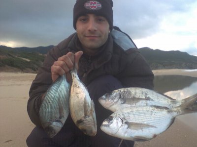 Foto album: ancora pesci!