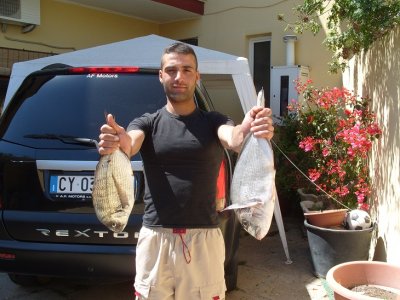 Foto album: ..............