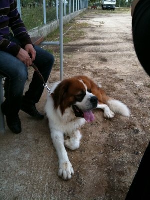 Foto album: micky
