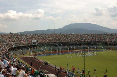 Foto album: dove sarai sarò