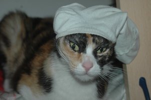 Foto album: a nanna....
