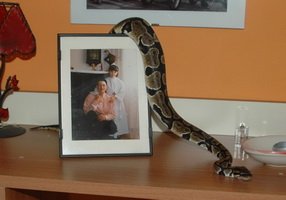 Foto album: Famiglia
