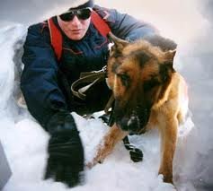 Foto album: neve