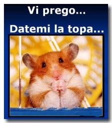 Foto album: !?