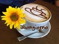 Avatar di dolceselvaggi