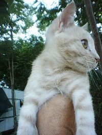 Avatar di michelerossi